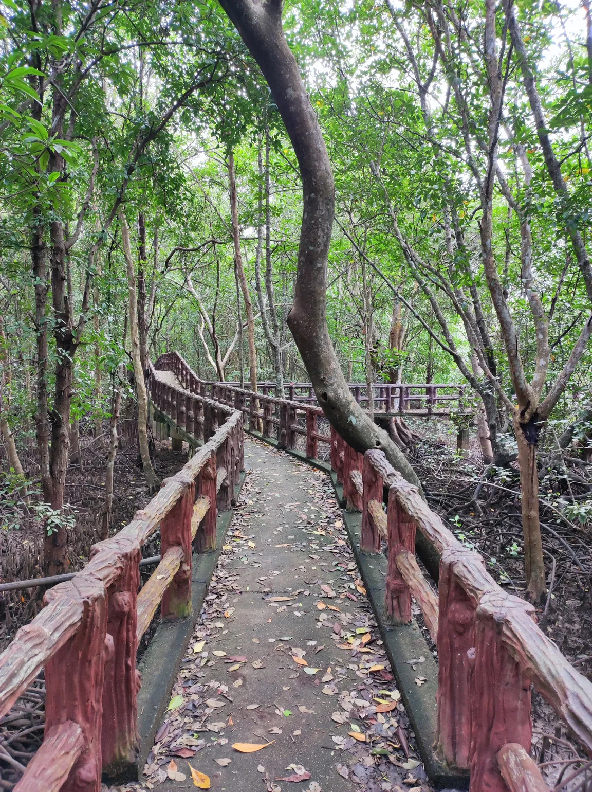 Krabi Urban Forest
