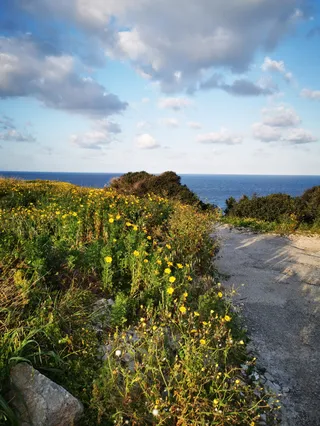 Wieża Għajn Ħadid