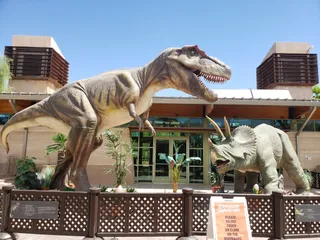 Botanical Garden at the Springs Preserve