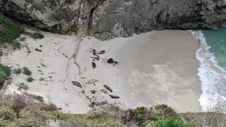 China Cove
