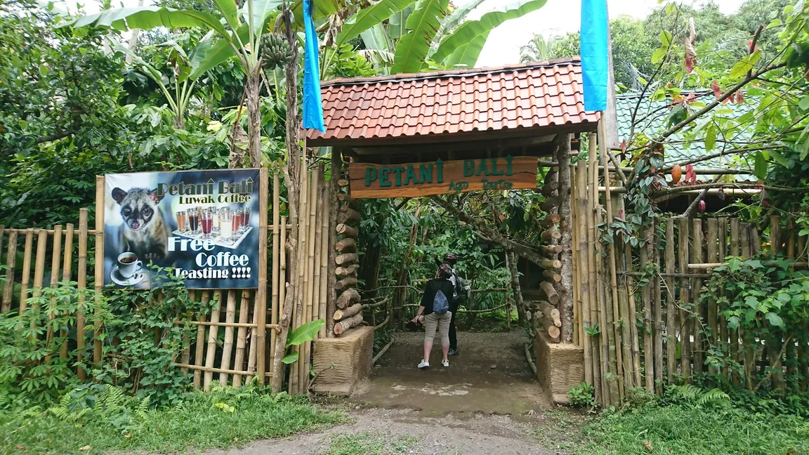 Petani Bali Luwak coffee