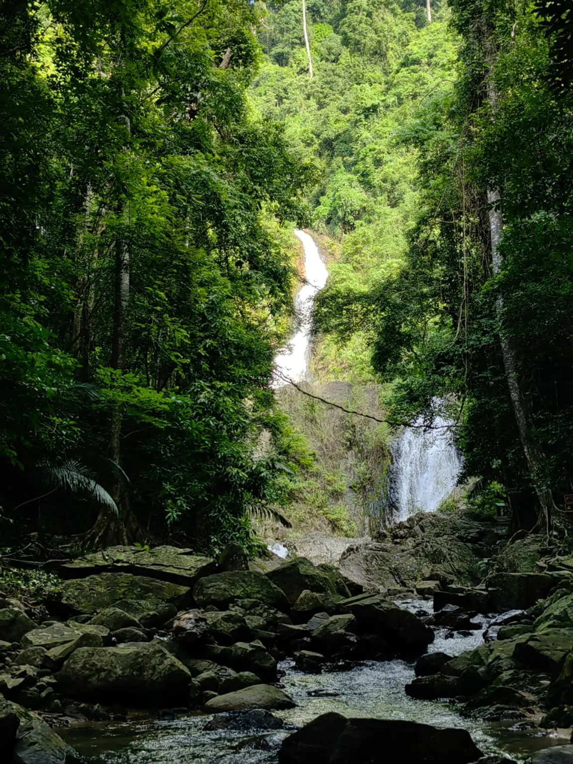 Khao Phanom Bencha National Park