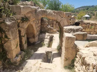 Haniya Spring