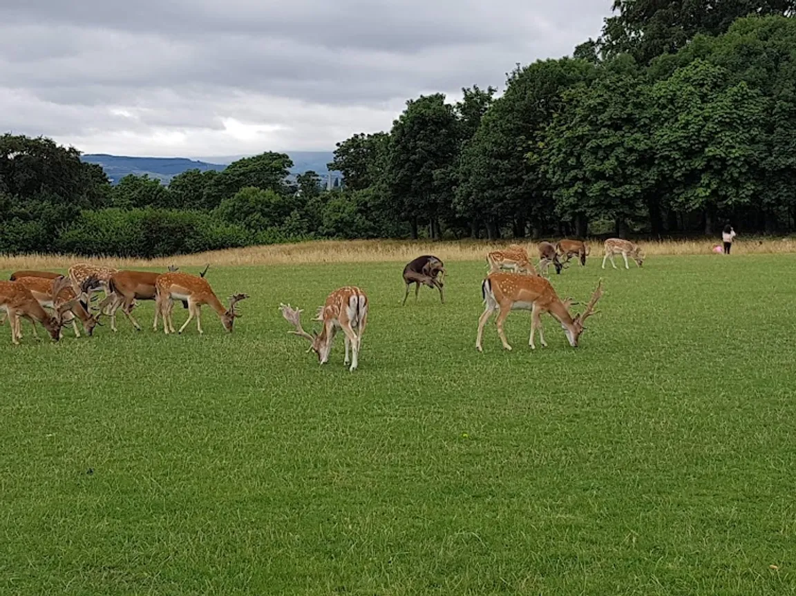 Phoenix Park