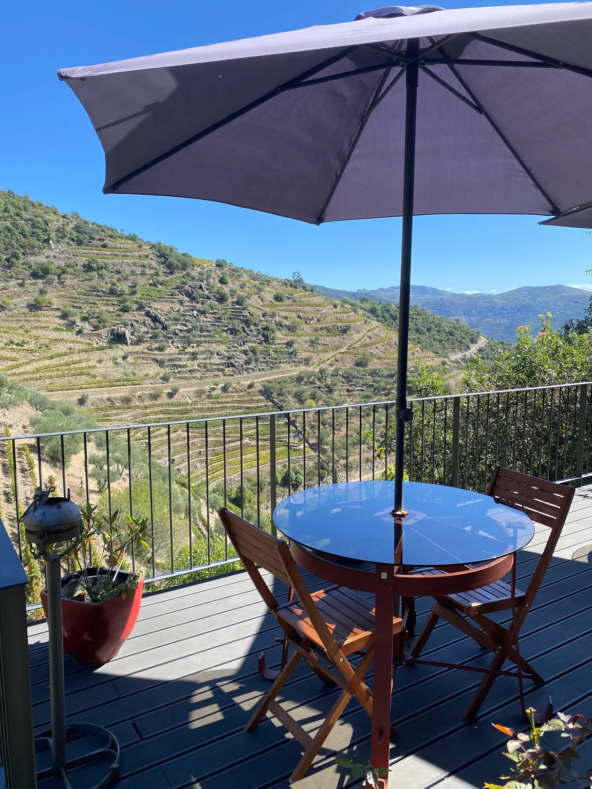 Quinta do Jalloto - Family vineyards