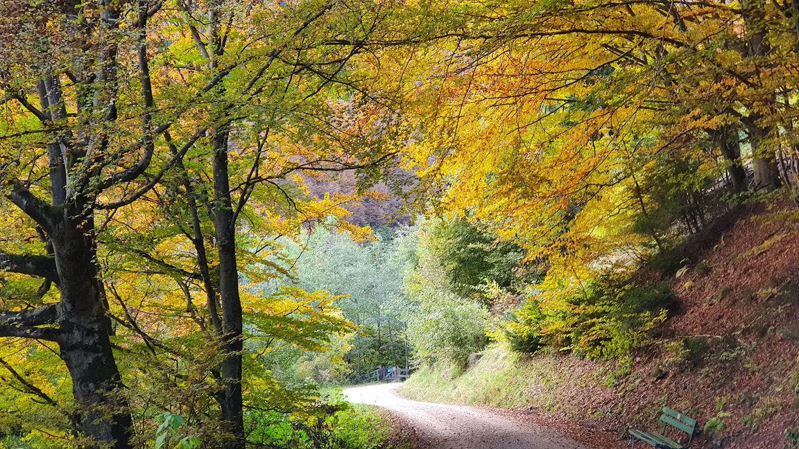 Höttinger trench or Höttinger Bach