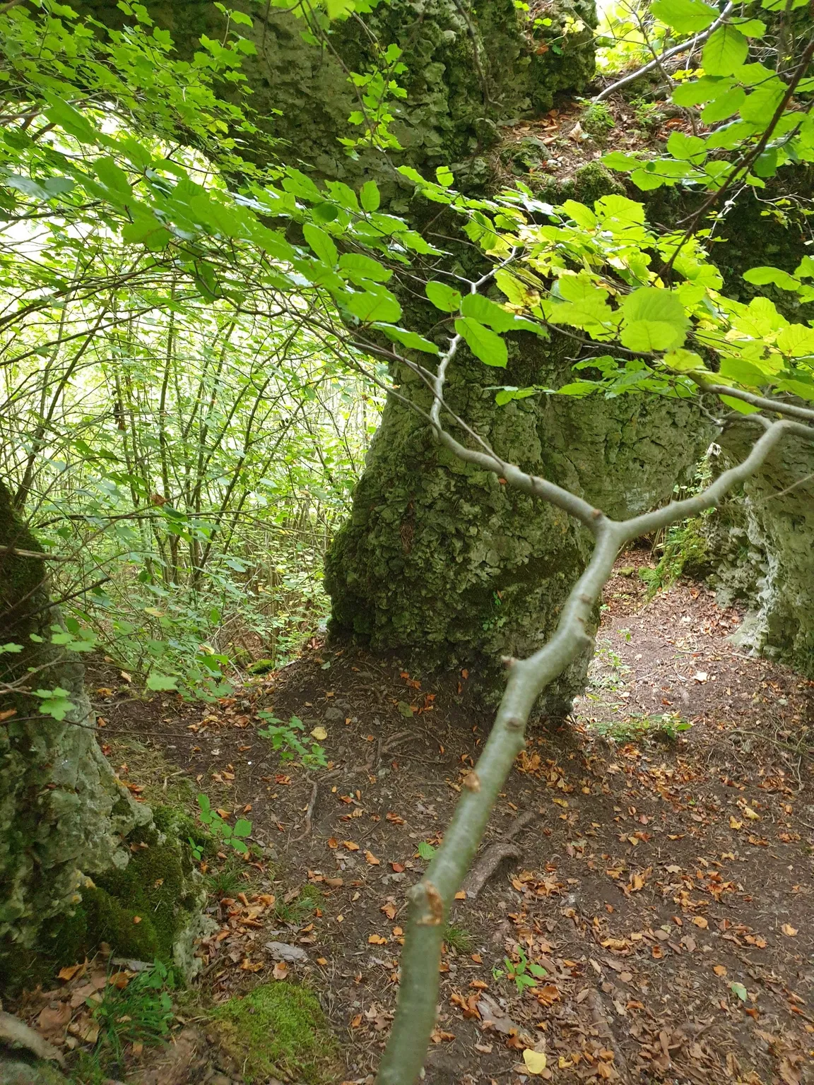 Doppelfelsentor bei Etzdorf