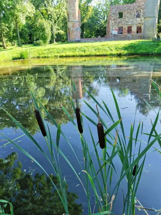 Winnica Jakubów