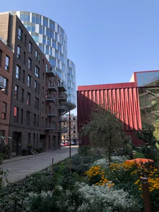 Pocket Park