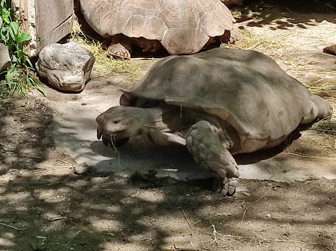 Salzburg Zoo Hellbrunn