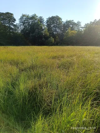 Stary Park