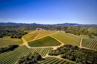 Capichera Vineyards and Winery
