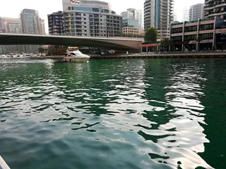 Marina Walkway