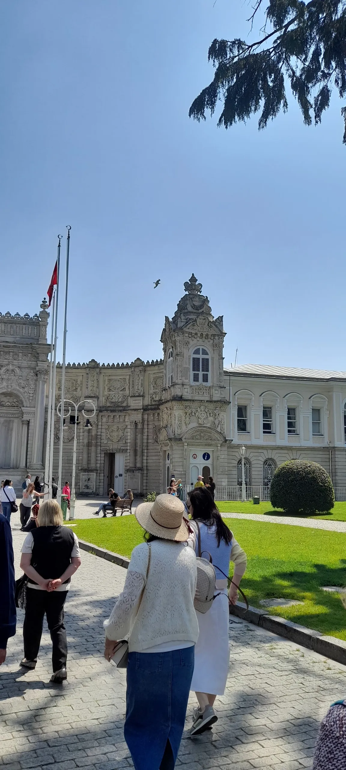 Dolmabahce Sanat Galerisi