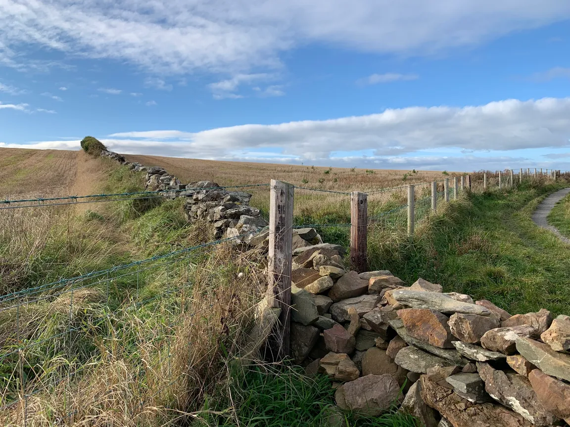 National Trust Orlock Point
