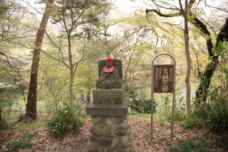 Tama Hills Nature Park