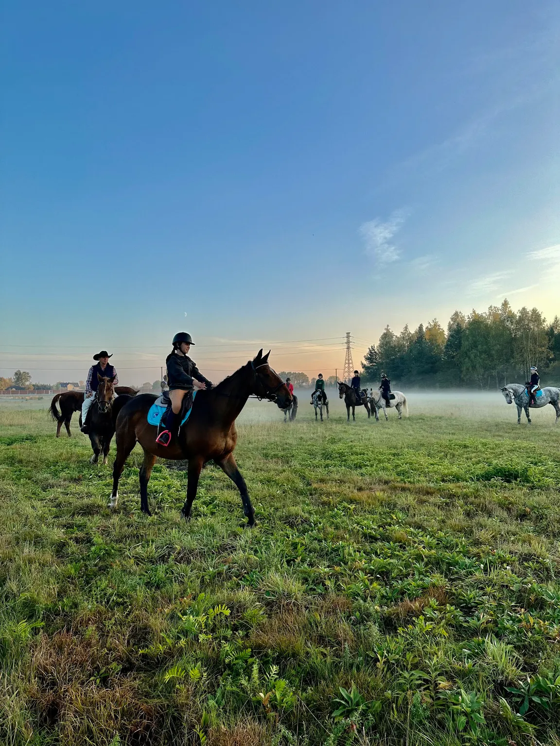 BESTHORSES