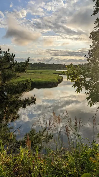 Freshkills Park