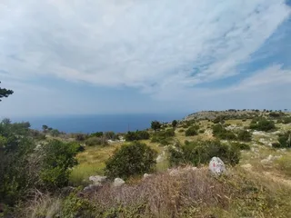 Saint Nicholas Summit