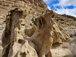 Dinosaur Tracks