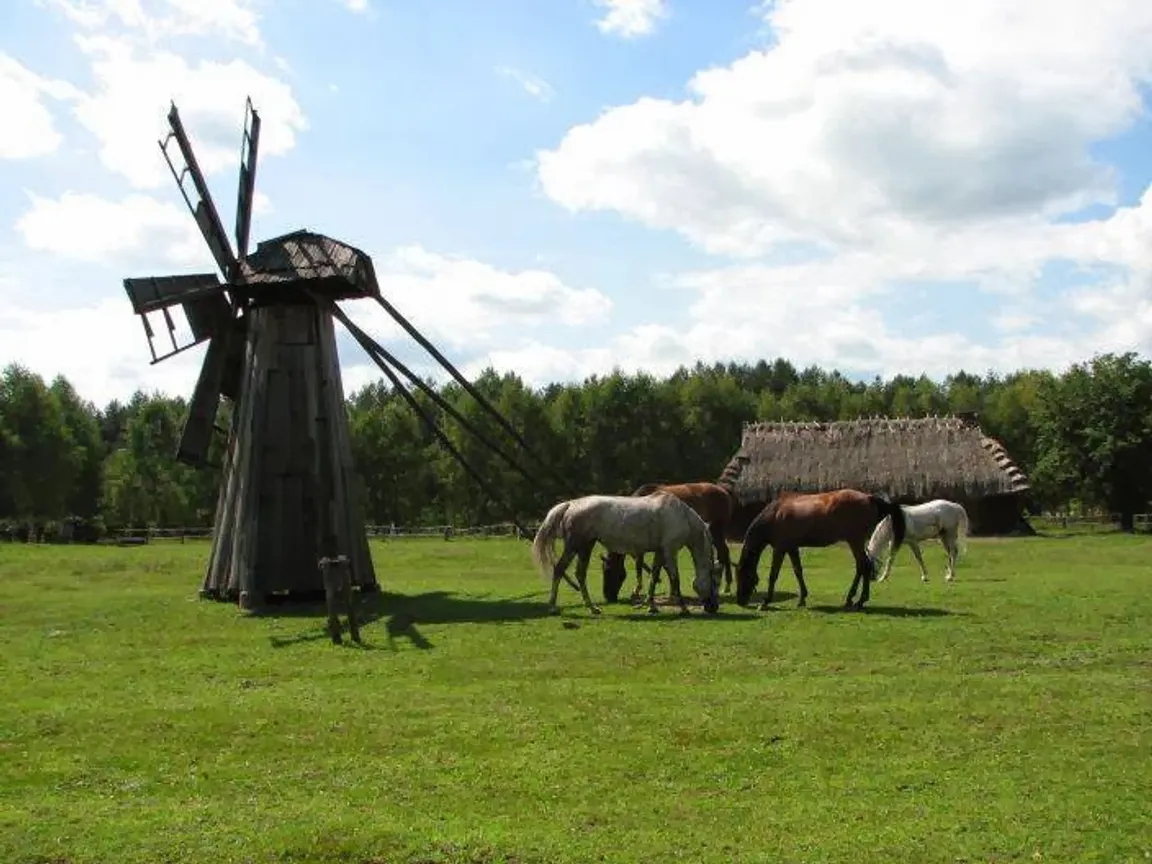 Podlaskie Muzeum Kultury Ludowej, Muzeum Wsi