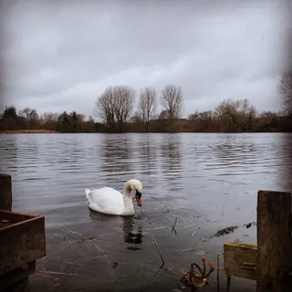 Langford Lakes Nature Reserve, Wiltshire Wildlife Trust