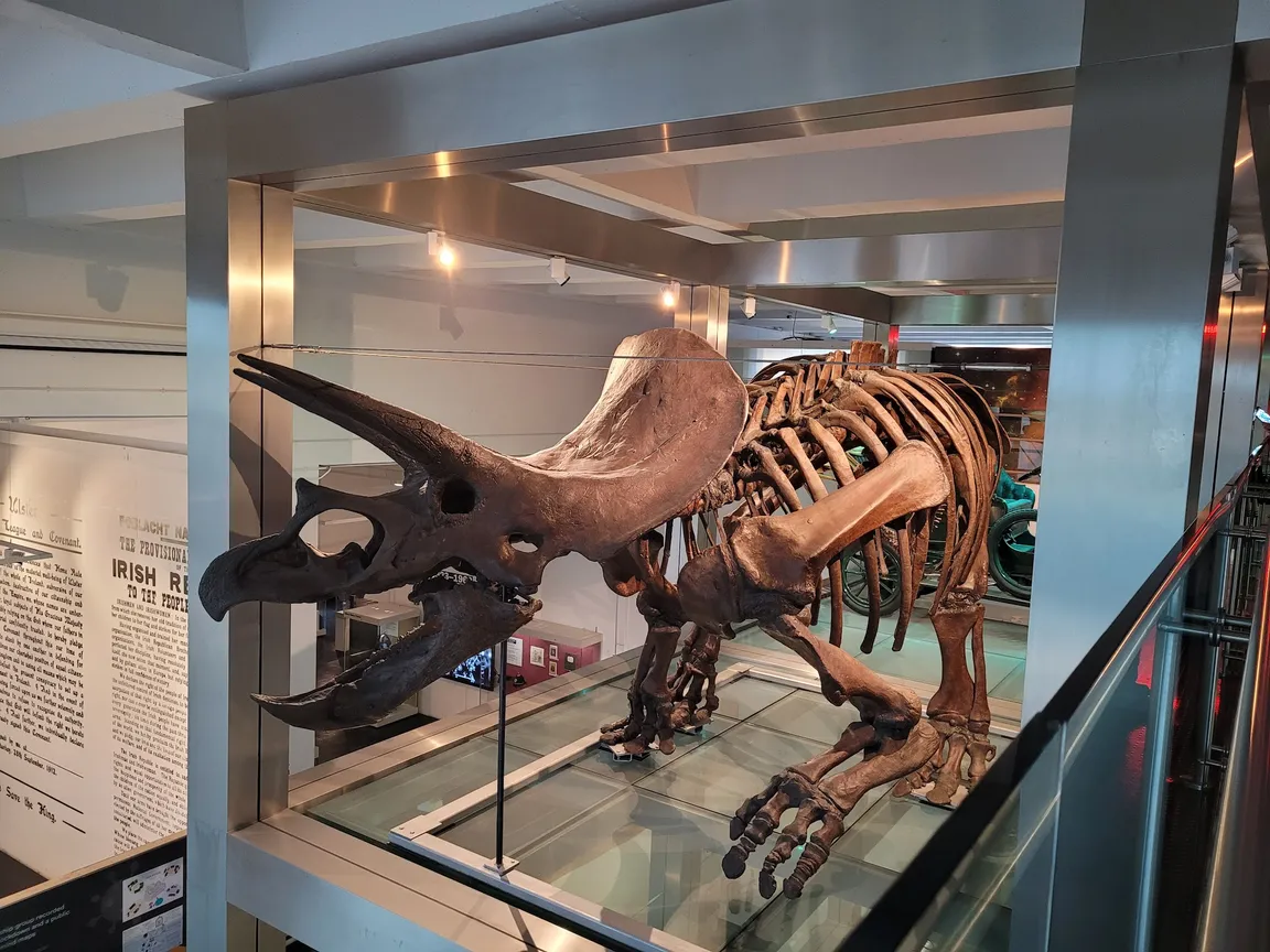 Ulster Museum