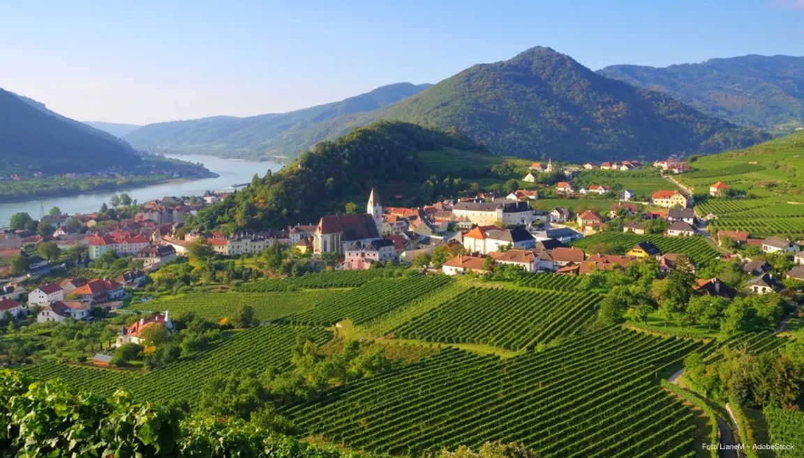 Wachau