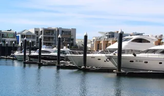 Adelaide Ocean Safari