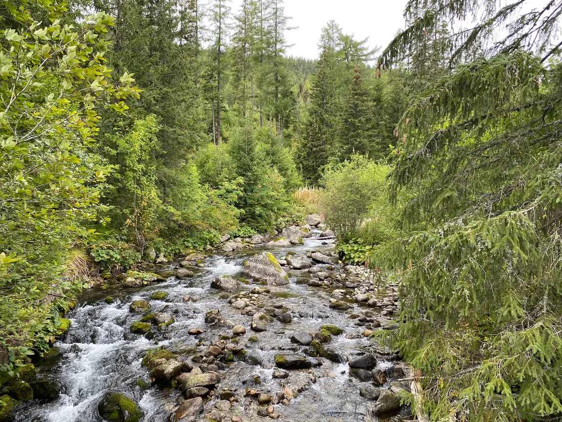 Tatra National Park
