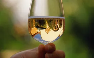 Weingut Schreiber-Kiebler