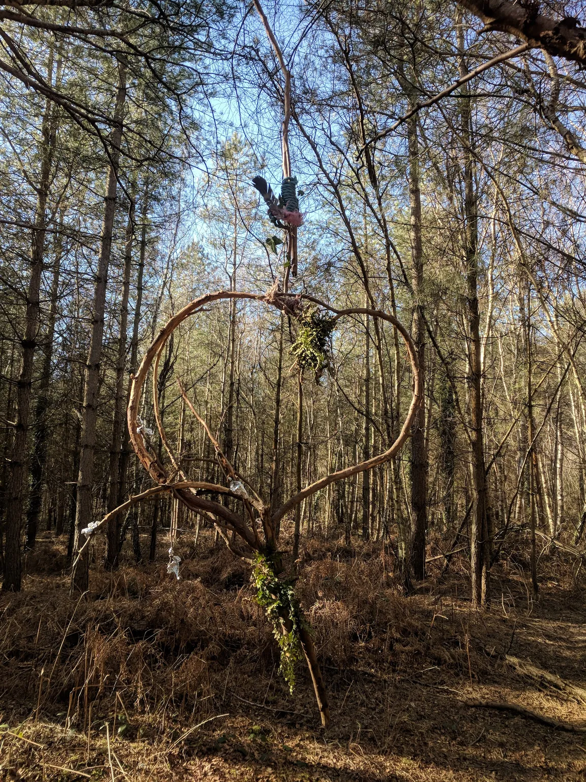 Creech Wood