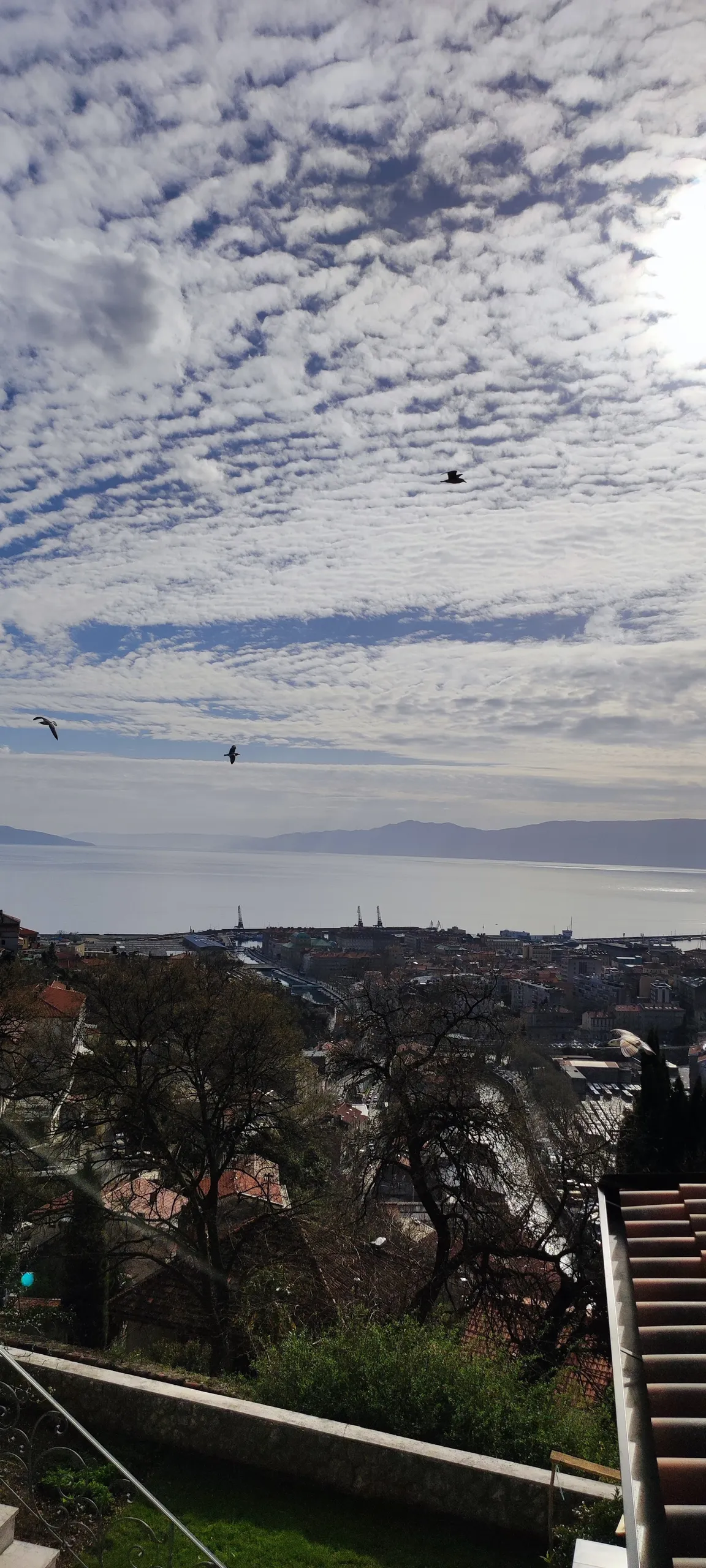 Trsat castle park