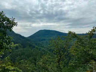 Zamkowa Góra