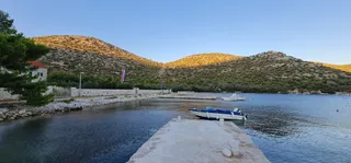 Žal