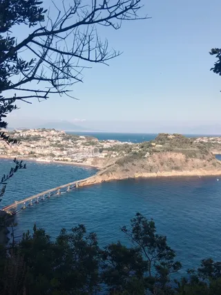 Vivara