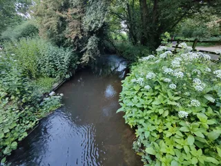 Dinton Pastures Country Park
