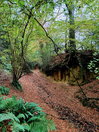 Uley Long Barrow (Hetty Pegler's Tump)