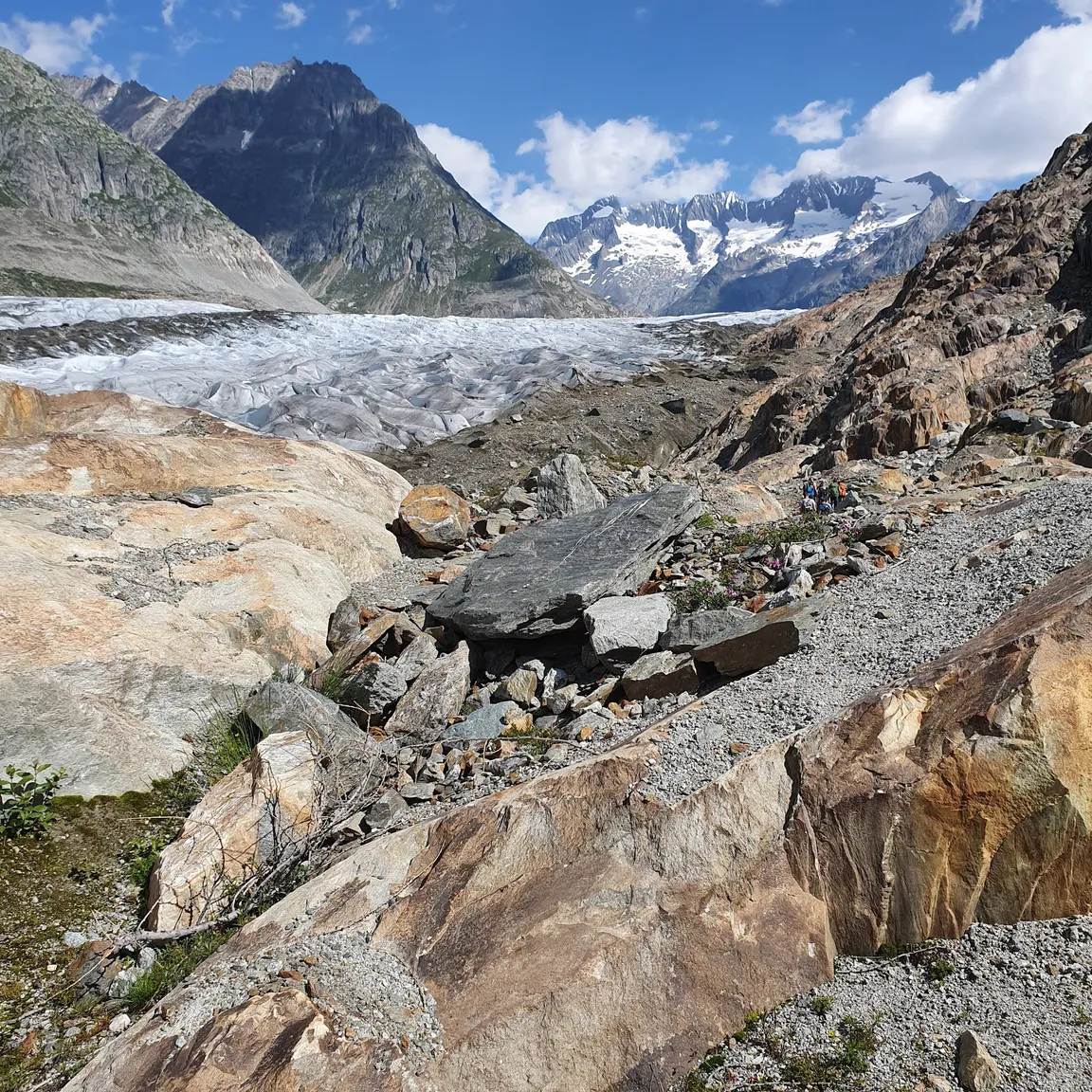 Jungfrau-Aletsch-Bietschhorn