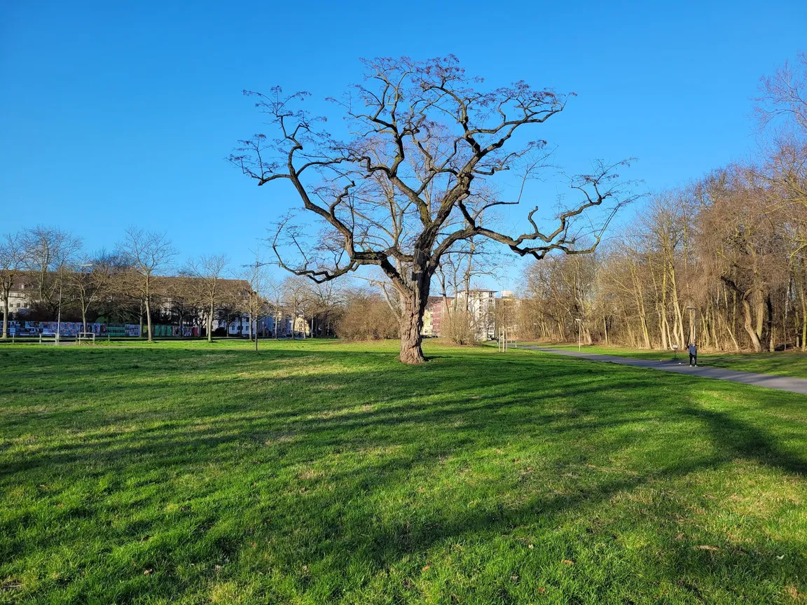 Hiroshima-Nagasaki-Park
