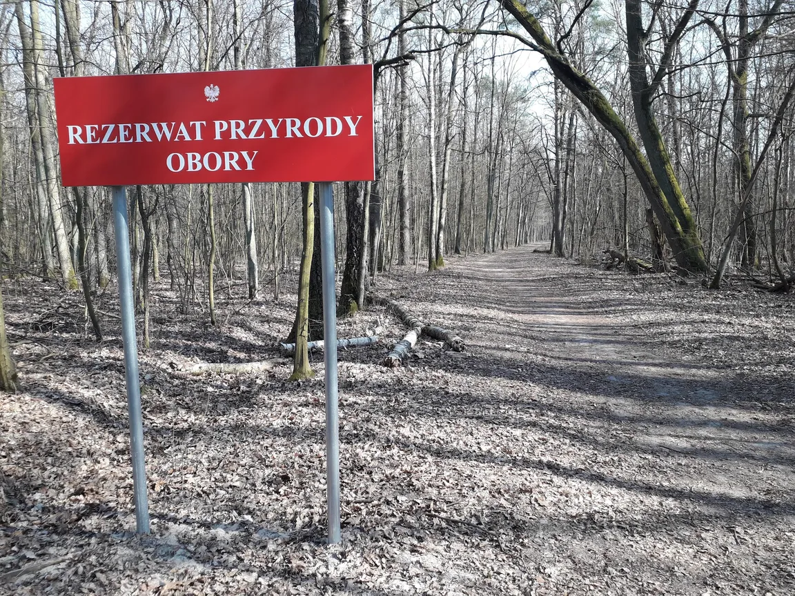 Rezerwat przyrody Obory