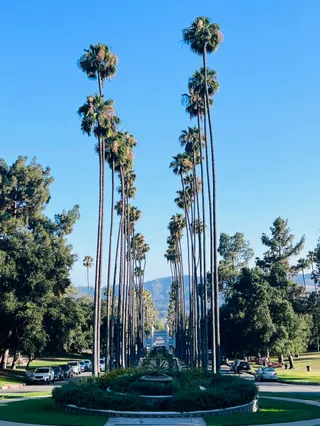 Brand Park