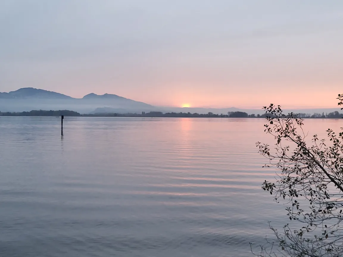 Lagunen-Rundwanderung Rheindelta - Bodensee