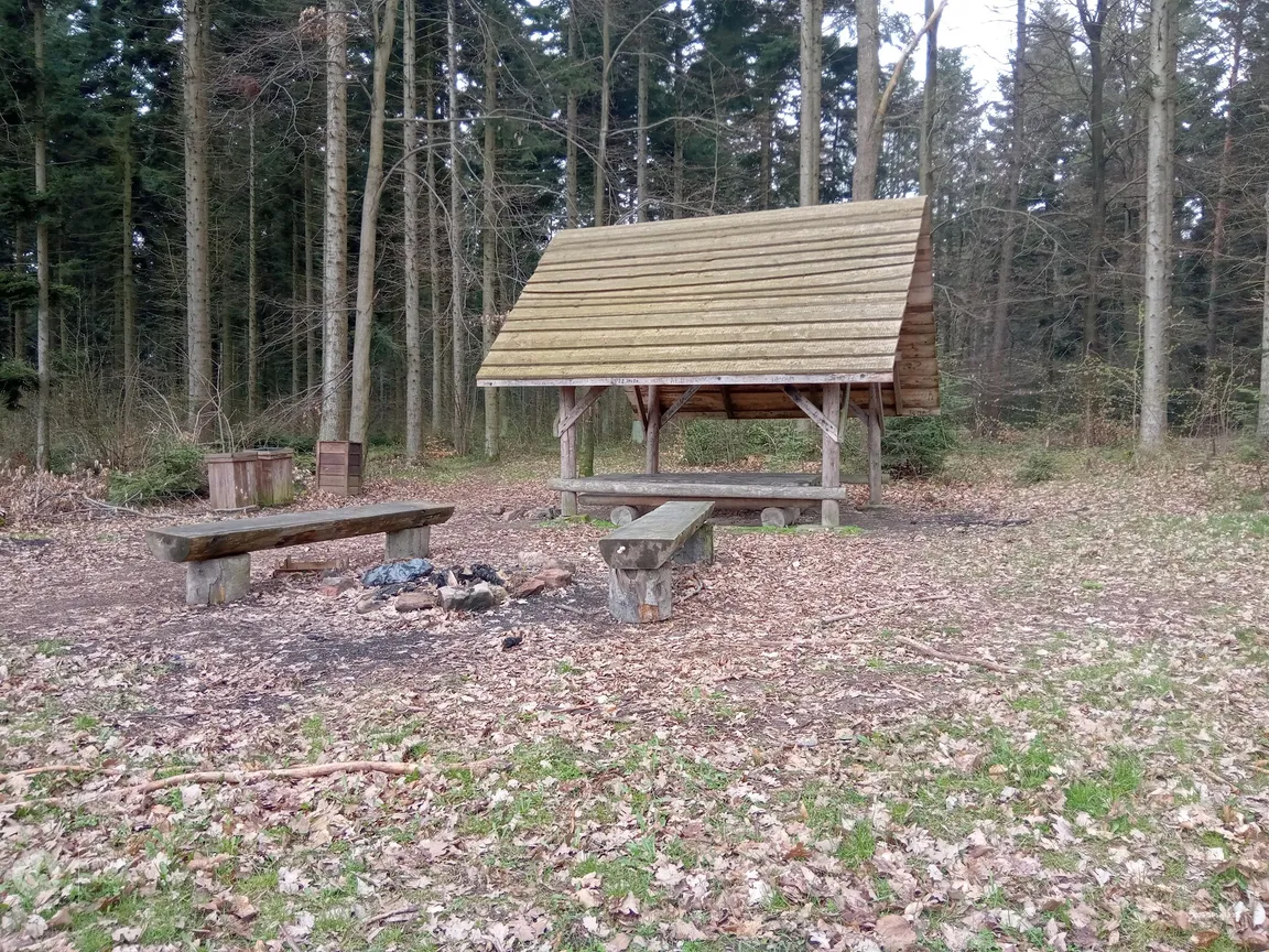 Rezerwat przyrody Góra Sieradowska