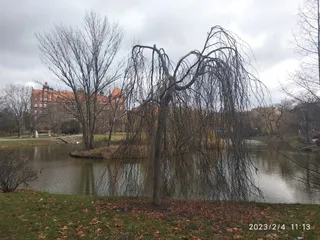 Park Stanisława Tołpy