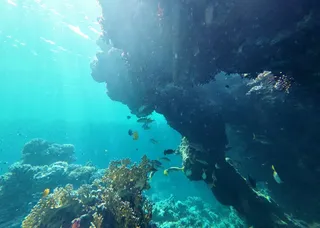 Marsa Mares