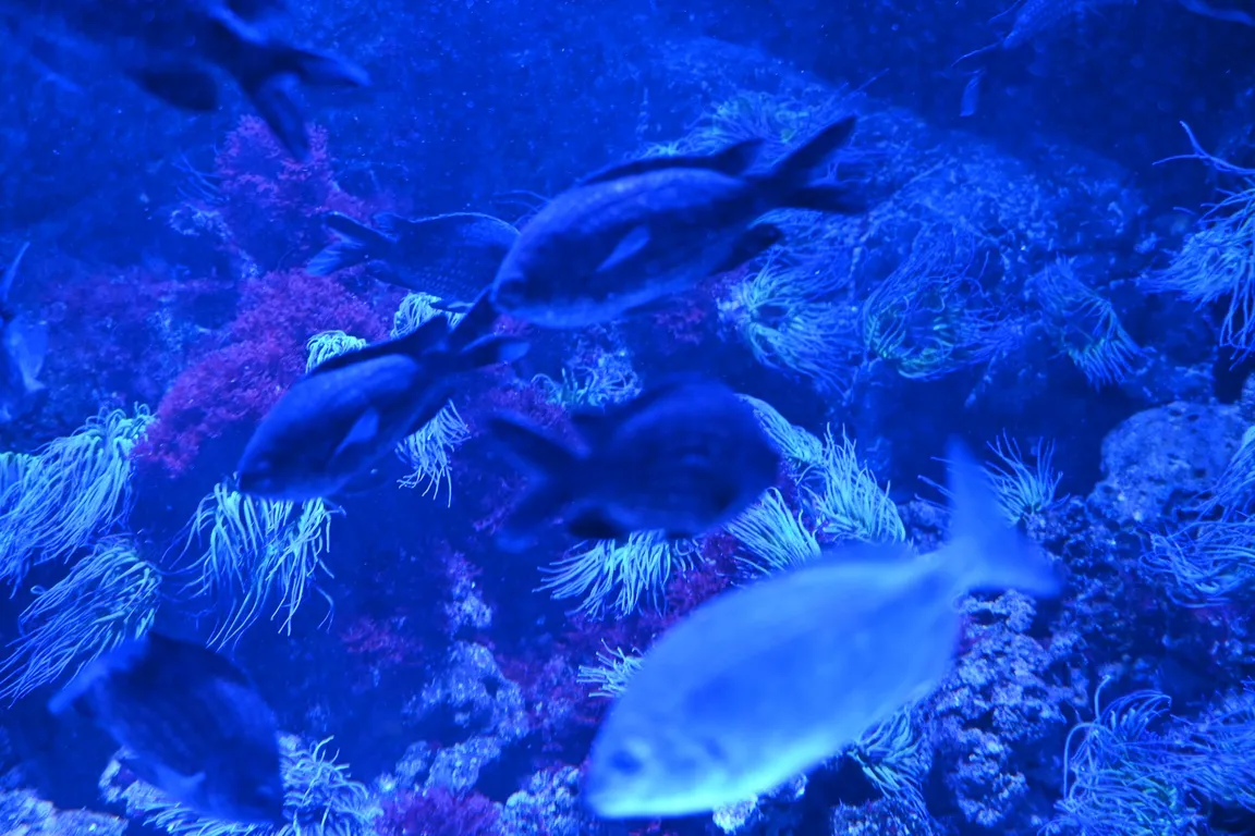 Sea Life Munich