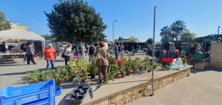 Timi Sunday Market