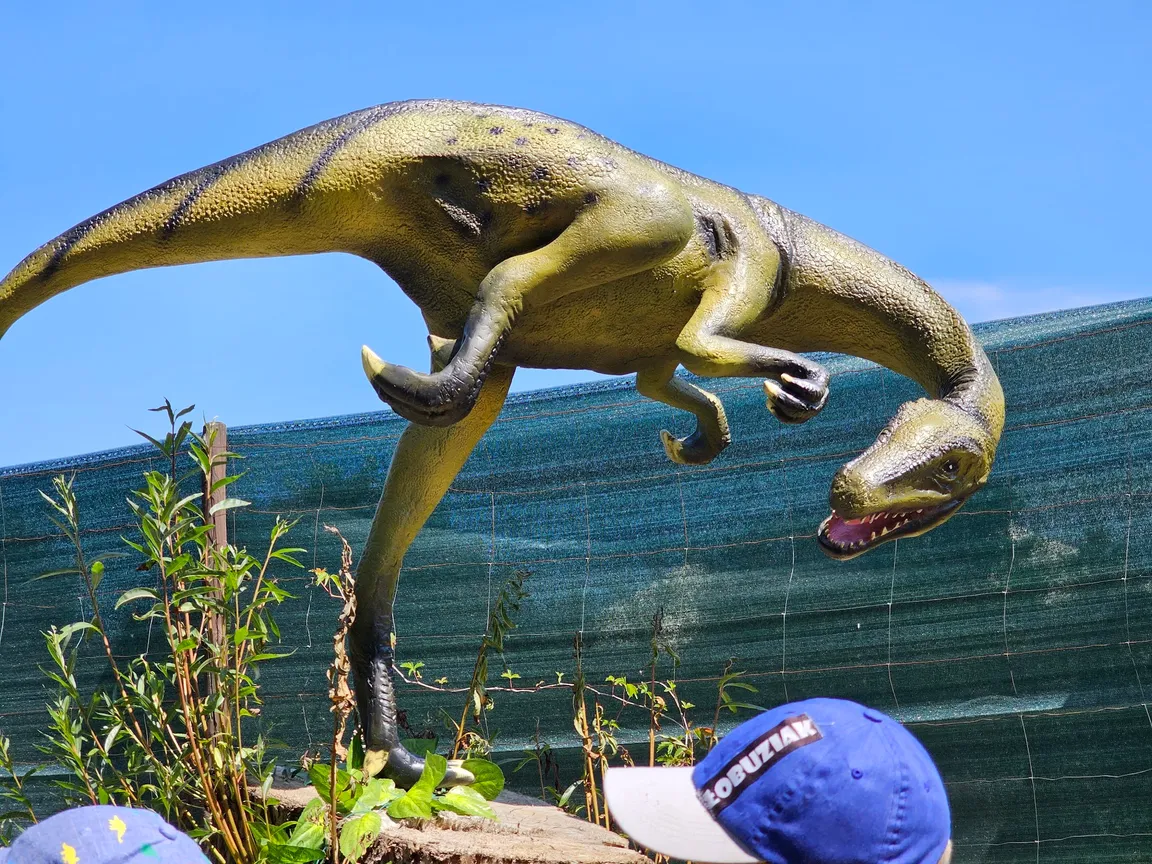 Dolina Dinozaurów