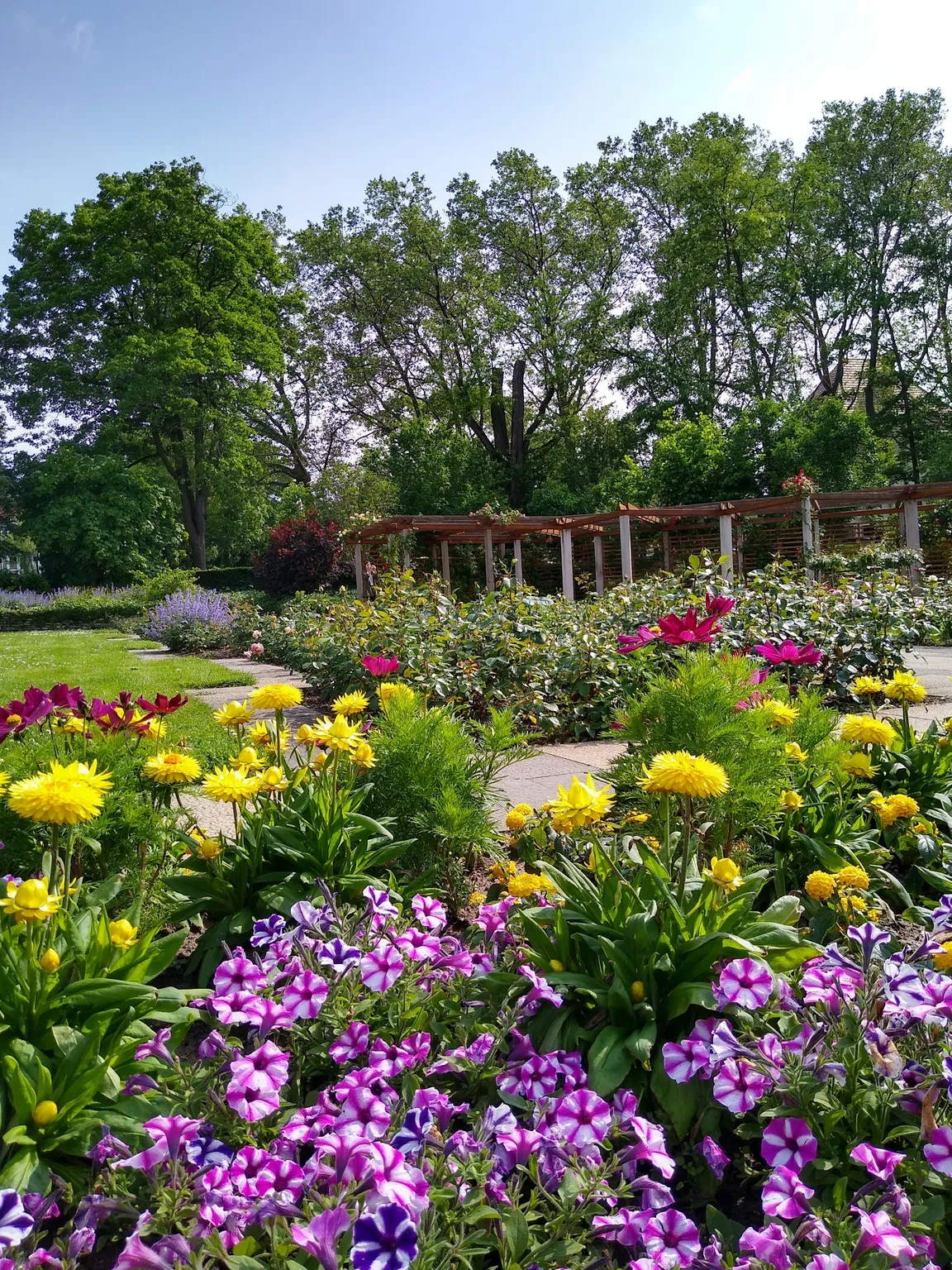 Rosengarten